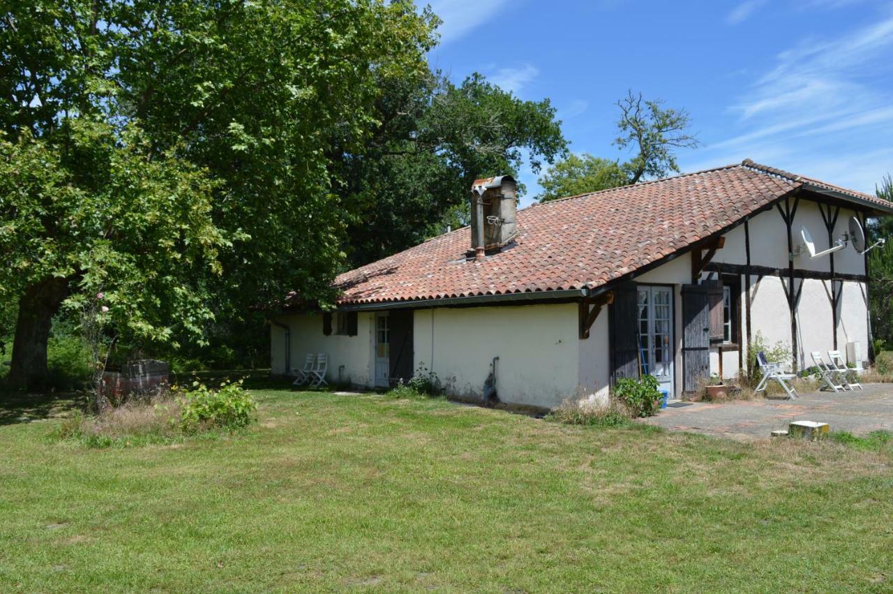 La Suite Du Bucheron Laharie Exterior foto