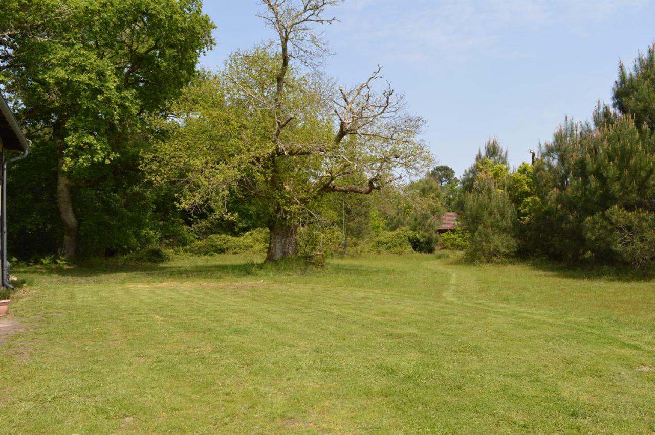 La Suite Du Bucheron Laharie Exterior foto